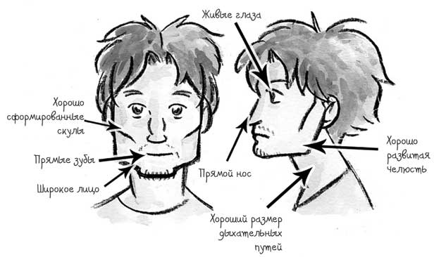 Иллюстрация к книге — Лечебное дыхание. Новые методики оздоровления по системе доктора Бутейко [i_024.jpg]