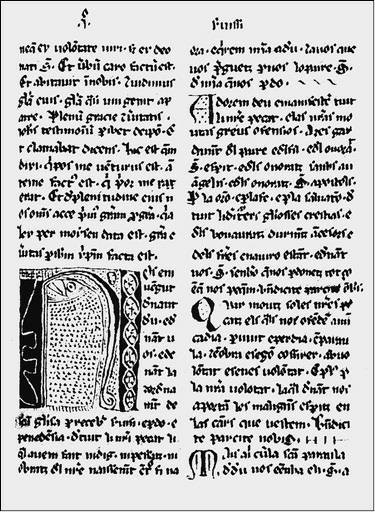 Иллюстрация к книге — Альбигойские войны 1208—1216 гг. [i_005.jpg]