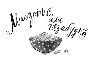 Иллюстрация к книге — Сюрприз для Синьорины Корицы [i_027.jpg]