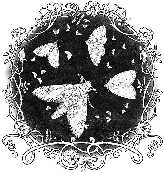 Иллюстрация к книге — Игла и нить [i_004.jpg]