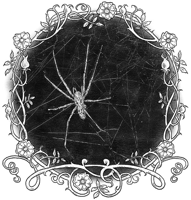 Иллюстрация к книге — Игла и нить [i_009.jpg]