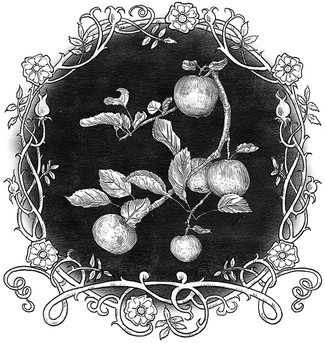 Иллюстрация к книге — Игла и нить [i_010.jpg]