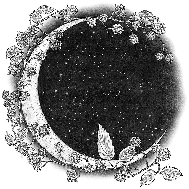 Иллюстрация к книге — Игла и нить [i_015.jpg]