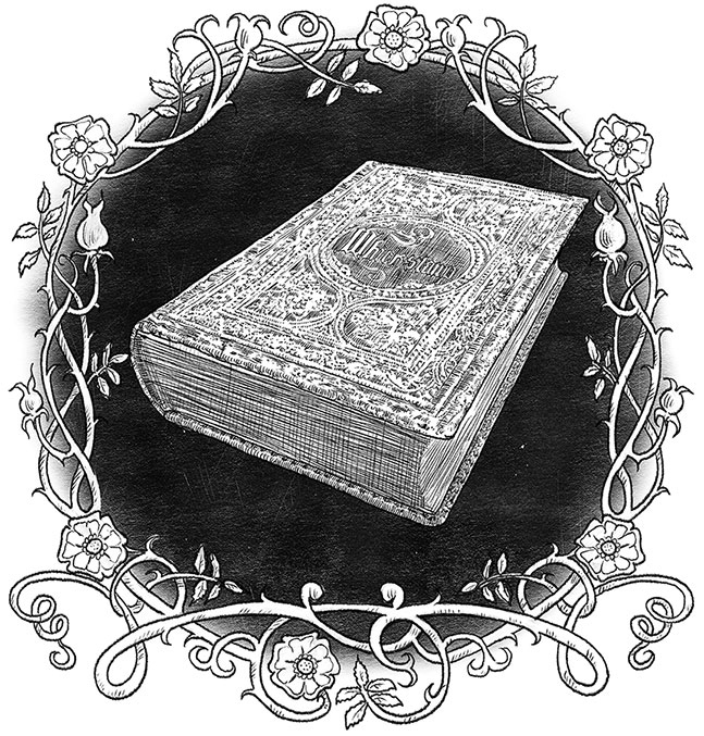 Иллюстрация к книге — Игла и нить [i_027.jpg]