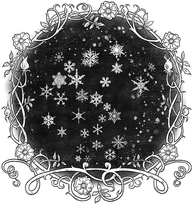 Иллюстрация к книге — Игла и нить [i_030.jpg]