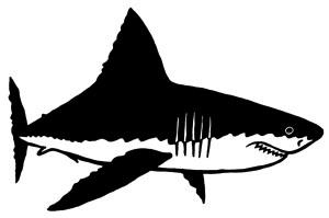 Иллюстрация к книге — Русалочка. Зов гармонии [i_007.jpg]