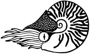 Иллюстрация к книге — Русалочка. Зов гармонии [i_013.jpg]