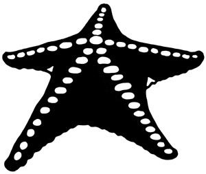 Иллюстрация к книге — Русалочка. Зов гармонии [i_015.jpg]