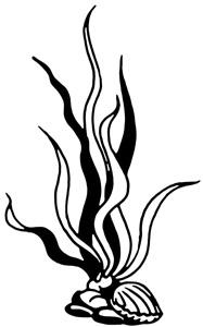 Иллюстрация к книге — Русалочка. Зов гармонии [i_016.jpg]