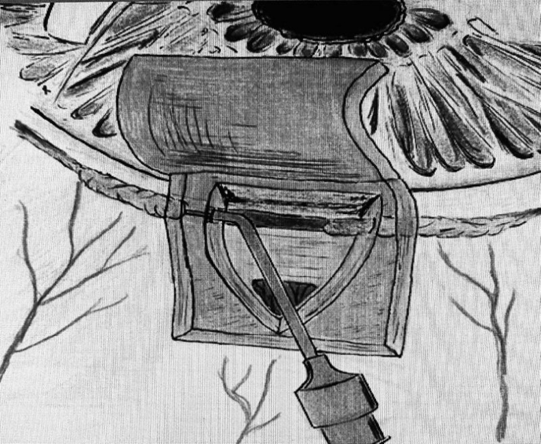 Иллюстрация к книге — Во все глаза. Секретная книга для тех, кто хочет сохранить или исправить зрение [i_011.jpg]