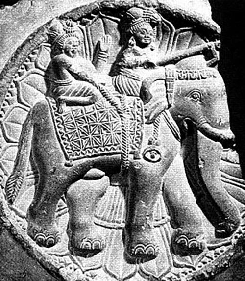 Иллюстрация к книге — Животные в войнах древнего мира [i_002.jpg]