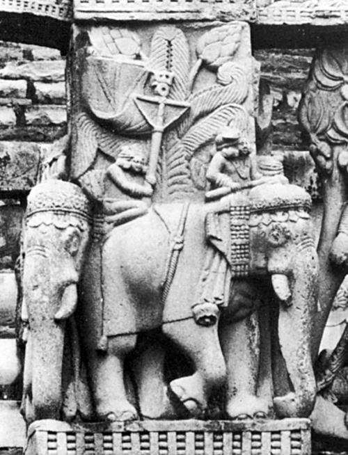 Иллюстрация к книге — Животные в войнах древнего мира [i_003.jpg]