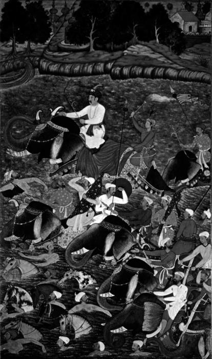 Иллюстрация к книге — Животные в войнах древнего мира [i_013.jpg]