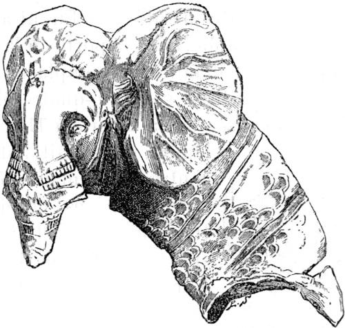 Иллюстрация к книге — Животные в войнах древнего мира [i_017.jpg]