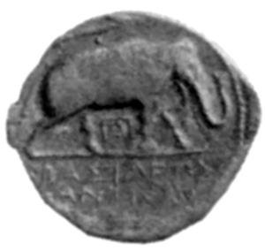 Иллюстрация к книге — Животные в войнах древнего мира [i_025.jpg]