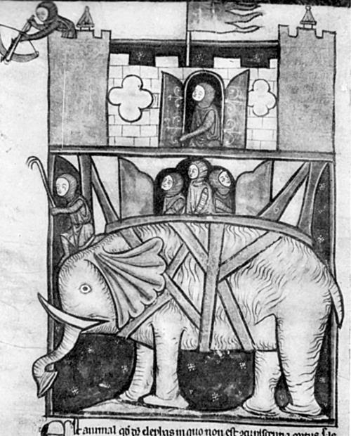 Иллюстрация к книге — Животные в войнах древнего мира [i_029.jpg]