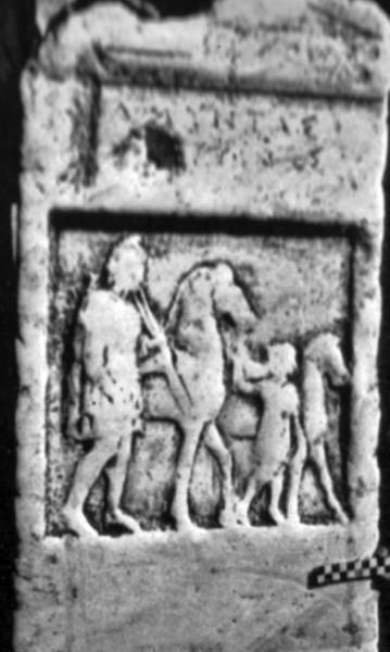 Иллюстрация к книге — Животные в войнах древнего мира [i_034.jpg]