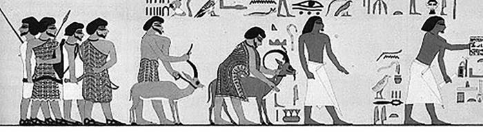 Иллюстрация к книге — Животные в войнах древнего мира [i_040.jpg]