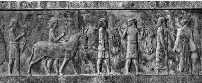 Иллюстрация к книге — Животные в войнах древнего мира [i_043.jpg]