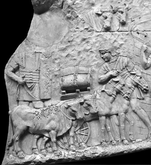 Иллюстрация к книге — Животные в войнах древнего мира [i_047.jpg]