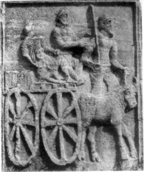 Иллюстрация к книге — Животные в войнах древнего мира [i_049.jpg]