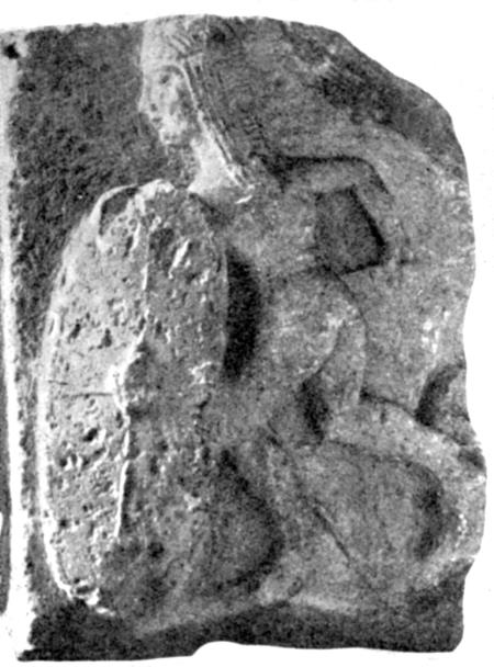 Иллюстрация к книге — Животные в войнах древнего мира [i_053.jpg]