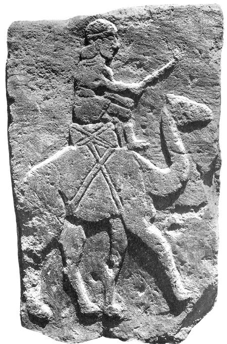 Иллюстрация к книге — Животные в войнах древнего мира [i_057.jpg]