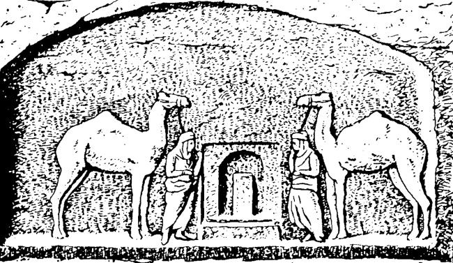 Иллюстрация к книге — Животные в войнах древнего мира [i_066.jpg]