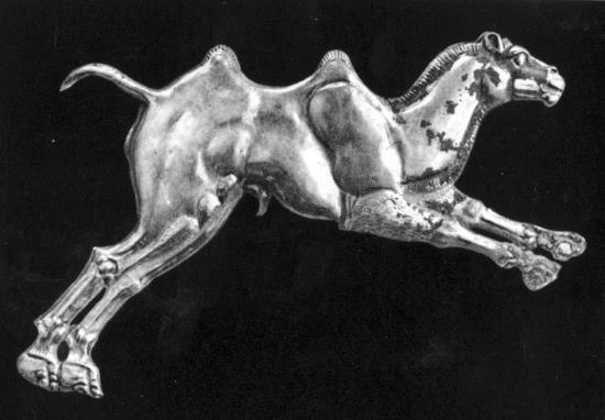 Иллюстрация к книге — Животные в войнах древнего мира [i_074.jpg]