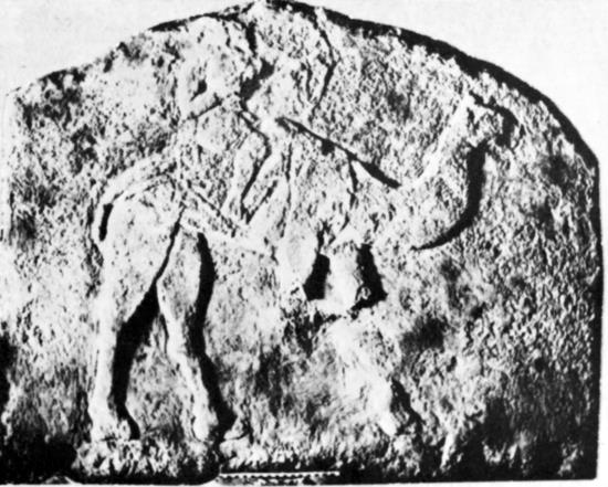 Иллюстрация к книге — Животные в войнах древнего мира [i_077.jpg]