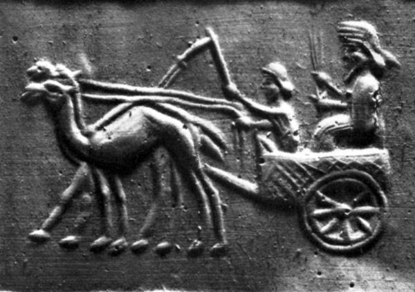 Иллюстрация к книге — Животные в войнах древнего мира [i_081.jpg]