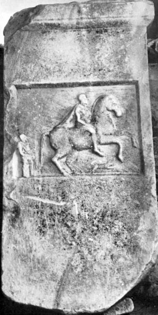 Иллюстрация к книге — Животные в войнах древнего мира [i_102.jpg]