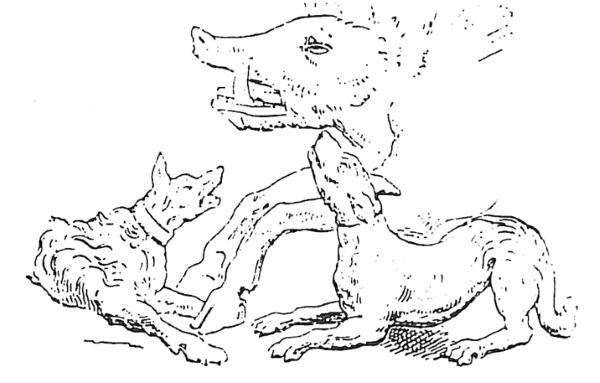 Иллюстрация к книге — Животные в войнах древнего мира [i_111.jpg]