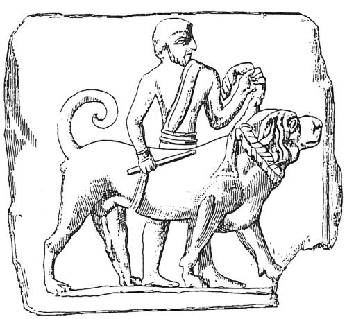 Иллюстрация к книге — Животные в войнах древнего мира [i_112.jpg]