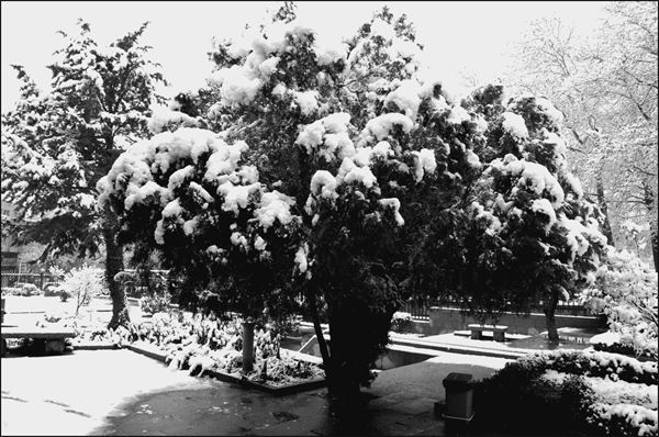 Иллюстрация к книге — Древняя Персия и ее тайны [i_034.jpg]