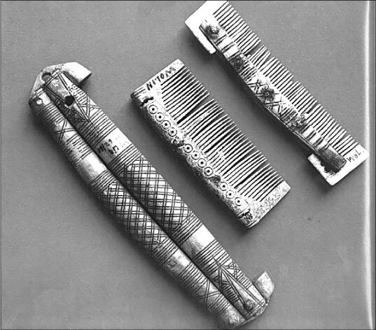 Иллюстрация к книге — Тайны Балтийской Атлантиды [i_018.jpg]