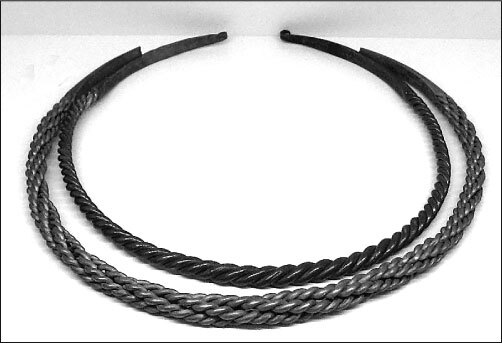 Иллюстрация к книге — Тайны Балтийской Атлантиды [i_045.jpg]