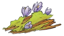 Иллюстрация к книге — По следам лунных цветов [i_032.jpg]