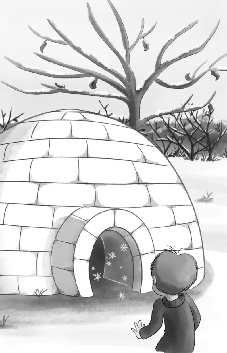 Иллюстрация к книге — Снежик, или Чудо в переулке Синичек [i_050.jpg]