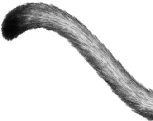 Иллюстрация к книге — Месть пумы [i_003.jpg]