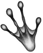 Иллюстрация к книге — Месть пумы [i_040.jpg]