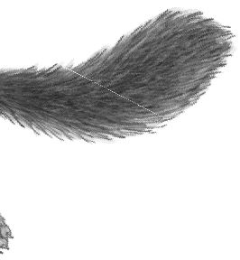 Иллюстрация к книге — Месть пумы [i_041.jpg]