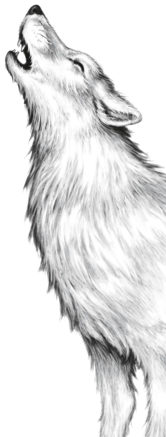 Иллюстрация к книге — Месть пумы [i_049.jpg]