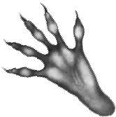 Иллюстрация к книге — Месть пумы [i_053.jpg]