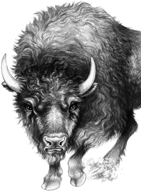 Иллюстрация к книге — Месть пумы [i_061.jpg]