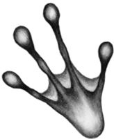 Иллюстрация к книге — Месть пумы [i_062.jpg]