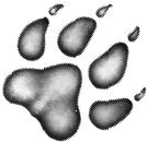 Иллюстрация к книге — Месть пумы [i_064.jpg]