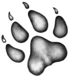 Иллюстрация к книге — Месть пумы [i_080.jpg]