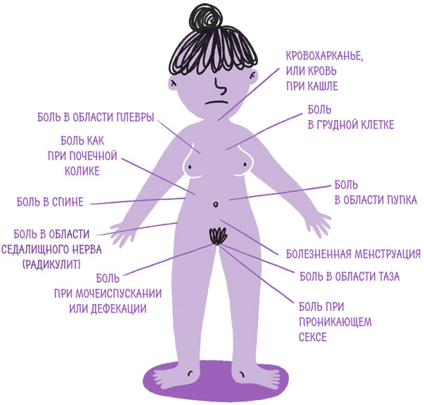 Иллюстрация к книге — Эндометриоз. Как разобраться в причинах и симптомах и позаботиться о себе в повседневной жизни [i_006.jpg]
