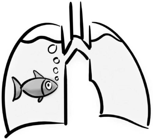 Иллюстрация к книге — PRO здоровье. Перевод с медицинского на человеческий [i_005.jpg]